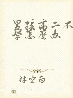 男孩高二不想上学怎么办