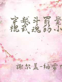 穿越斗罗觉醒铁棍武魂的小说