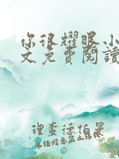 你很耀眼小说全文免费阅读