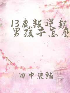 13岁叛逆期的男孩子怎么去引导