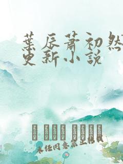叶辰萧初然最快更新小说