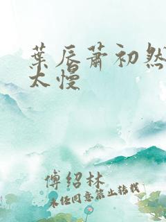 叶辰萧初然更新太慢