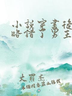 小说穿书后我攻略错了男主全文