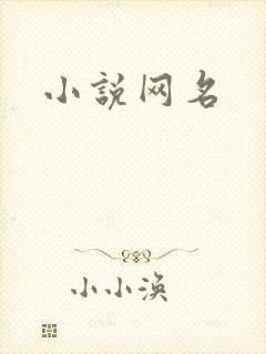 小说网名