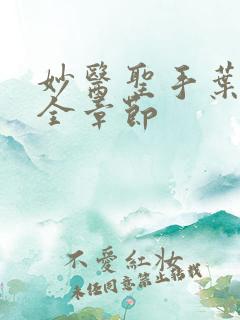 妙医圣手叶皓轩全章节