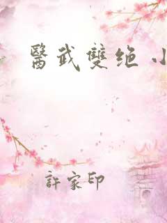 医武双绝 小说