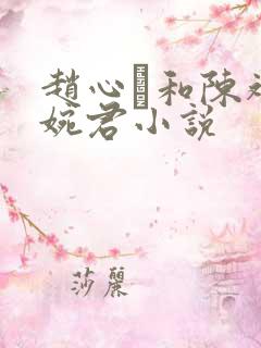 赵心睸和陈斌高婉君小说