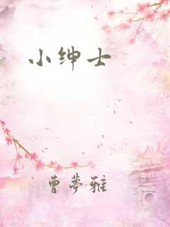 小绅士