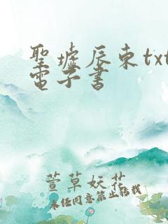 圣墟辰东txt电子书