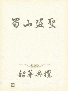 蜀山盗圣