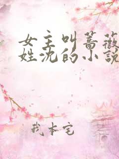 女主叫蔷薇男主姓沈的小说