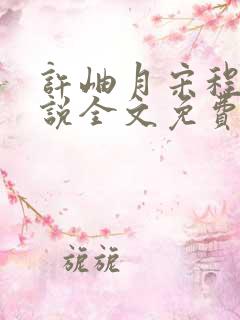许岫月宋程年小说全文免费阅读笔趣阁