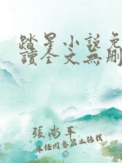 踏星小说免费阅读全文无删减