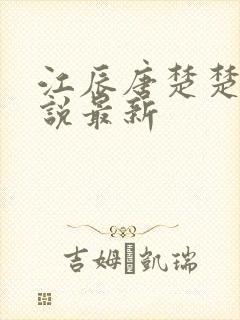 江辰唐楚楚的小说最新