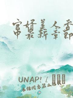 官婿美人香刘志中最新章节在线阅读