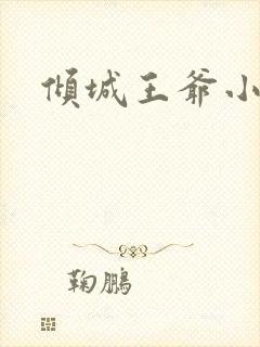 倾城王爷小小妃