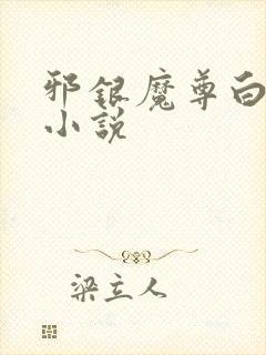 邪银魔尊白凝冰小说