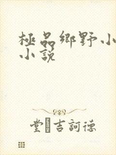 极品乡野小农民小说