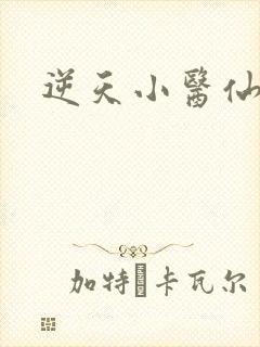 逆天小医仙陈平
