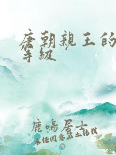 唐朝亲王的妻妾等级