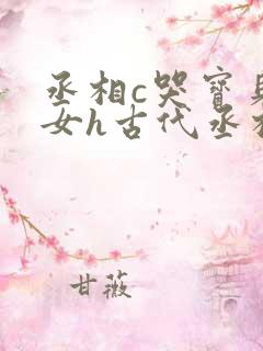 丞相c哭宝贝乖女h古代丞相视频