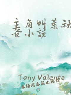 主角叫叶秋的奶爸小说