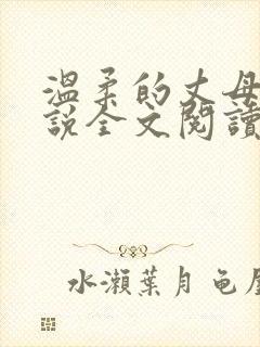 温柔的丈母娘小说全文阅读