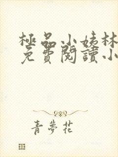 极品小姨林浩云免费阅读小说全文最新章节