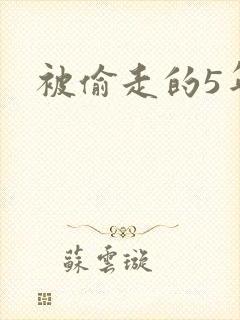 被偷走的5年