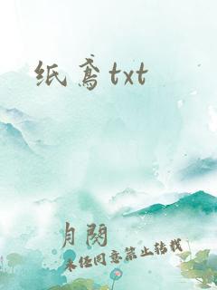 纸鸢txt