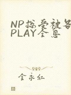 NP总受被各种PLAY全息