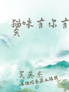 猫咪有你有我足矣