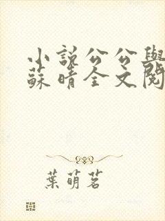 小说公公与儿媳苏晴全文阅读
