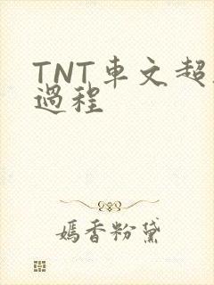 TNT车文超细过程
