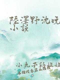 陆泽野沈晚栀的小说