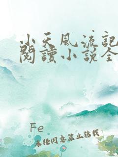 小天风流记免费阅读小说全文