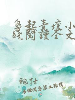 枭起青壤小说在线阅读全文免费