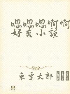 嗯嗯嗯啊啊啊啊好爽小说