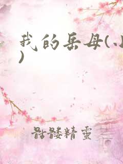 我的岳母(小说)