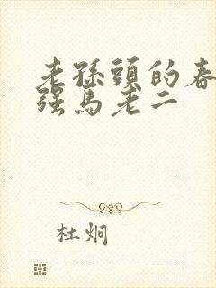老孙头的春天马强马老二