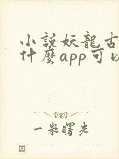 小说妖龙古帝用什么app可以免费