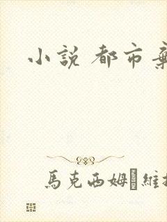 小说 都市弃少