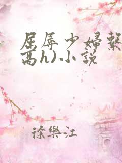 屈辱少妇系列(高h)小说