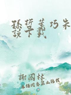 孙哲叶巧朱颜小说下载