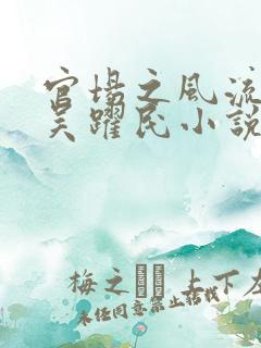 官场之风流医少吴跃民小说最新章节