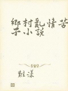 乡村乱情苦心东子小说