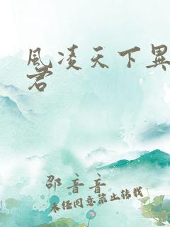 风凌天下异世邪君