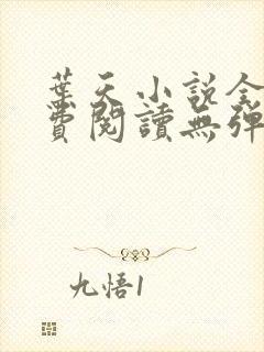 叶天小说全文免费阅读无弹窗