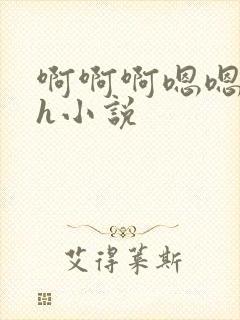啊啊啊嗯嗯嗯高h小说