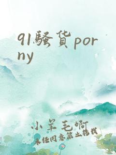 91骚货porny